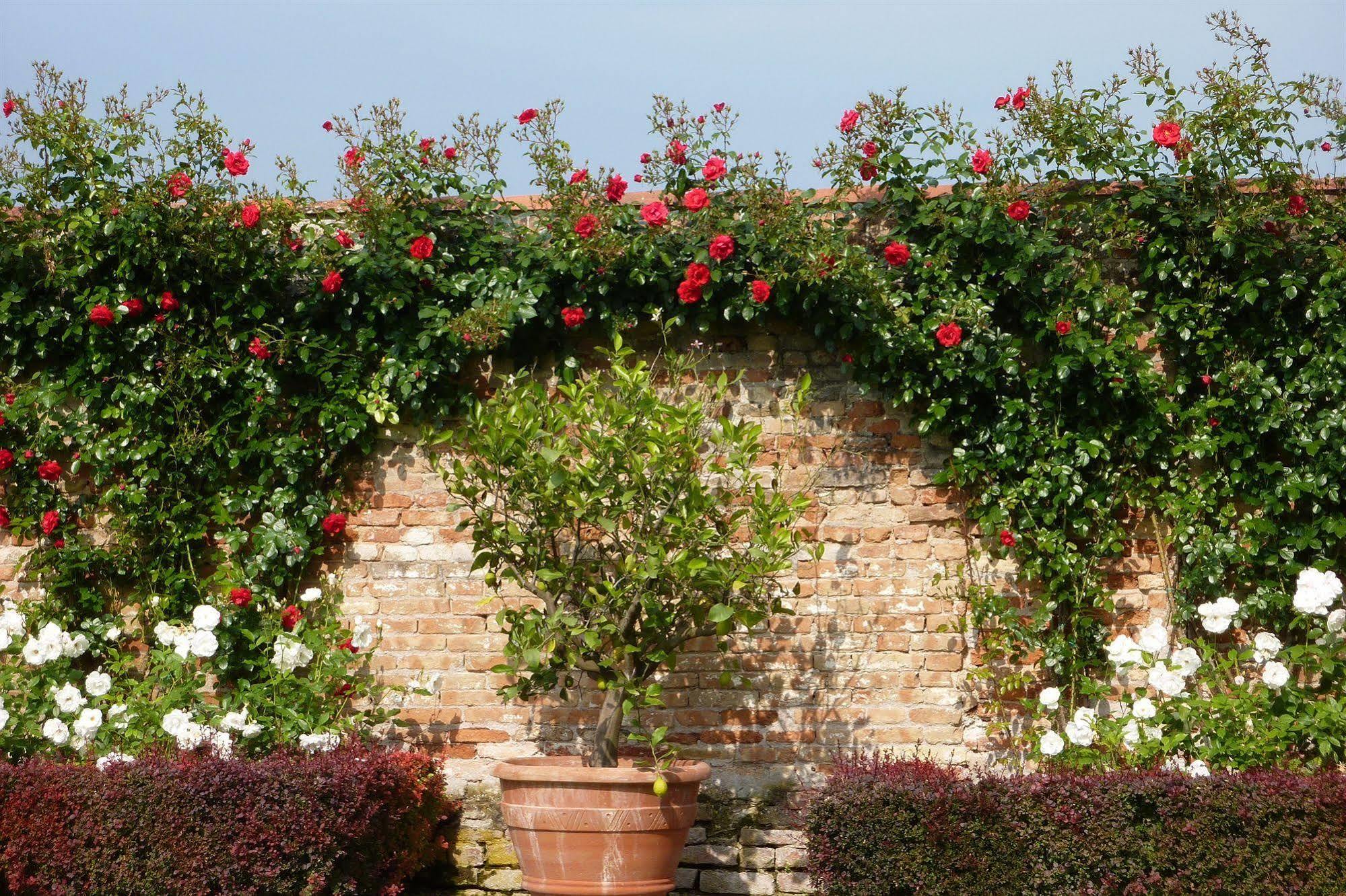 Villa Alberti Dolo Exterior foto